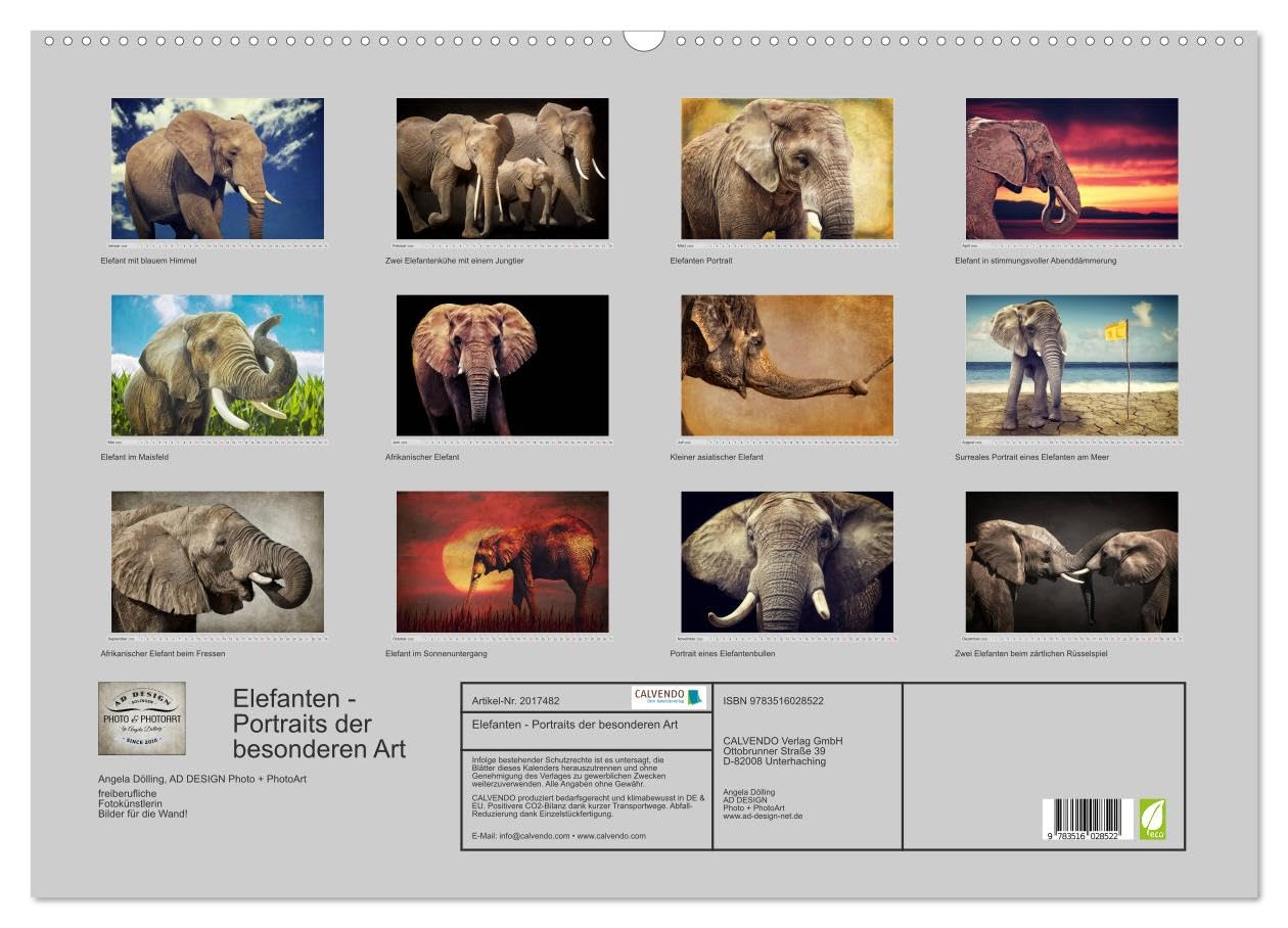 Elefanten - Portraits der besonderen Art (Wandkalender 2026 DIN A2 quer), CALVENDO Monatskalender: Wunderbare Portraits der grauen Riesen - digital gemalt. (CALVENDO Tiere)