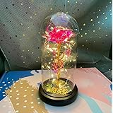 Demanca バラ 造花 Lechin 24Kゴールドローズ 枯れない花 金メッキローズ LEDライト付き電池式 薔薇 花束 プレゼントバレンタインデー 母の日 誕生日 結婚記念日 クリスマス 新年 お祝いに適用 彼女への贈り物プレゼントクリスマスプレゼントお正月プレゼントです (I)