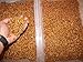 1100 Count Live Mealworms Organically Grown By Gimminy Crickets & Worms