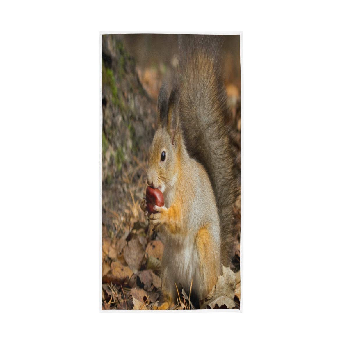 HUYGD Squirrel Leaves Soft Bath Hotel Spa Hand Gym Sport Towel 76 x 38 cm(30 x 15 Inches)