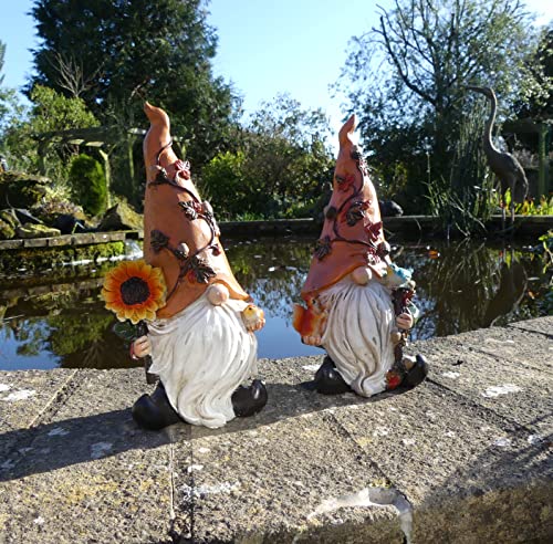Gnomos de jardín Harvey y Harry, el detalle ideal para amantes de la decoración exterior 4