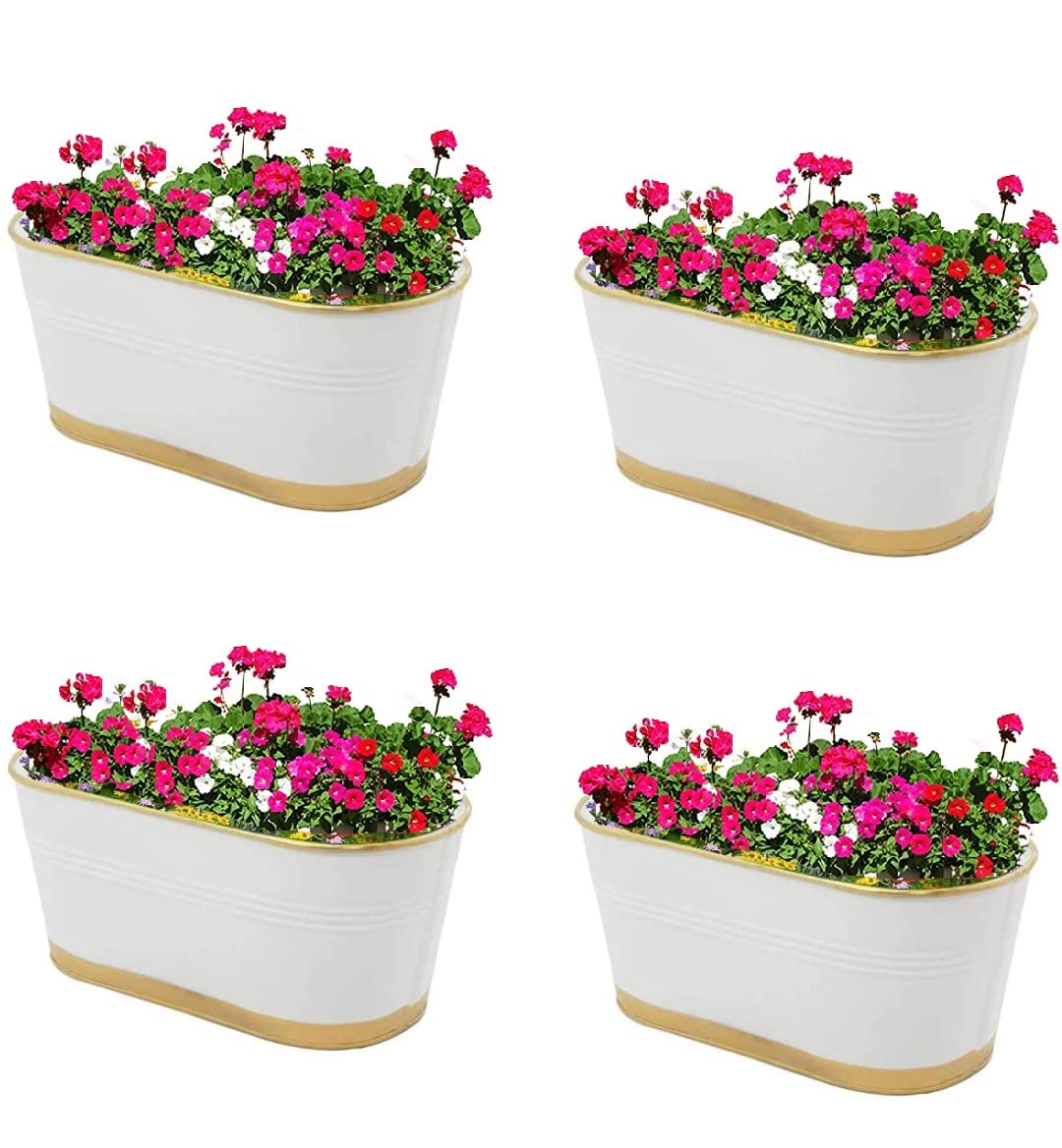 See full amazon price history chart for Neumark Impex Iron 12 Inch Hanging Railing Garden Flower Planter For Hanging Indoor Out Door Balcony Product Set Of 4 (White, Standard) Neumark Impex Iron 12 Inch Hanging Railing Garden Flower Planter For Hanging Indoor Out Door Balcony Product Set Of 4 (White, Standard) (B07WQXRZGB) Amazon Price History, Amazon Price Tracker