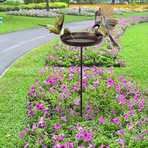 Bain d'oiseaux stable pour eviter les chutes de structure dans le jardin - 6