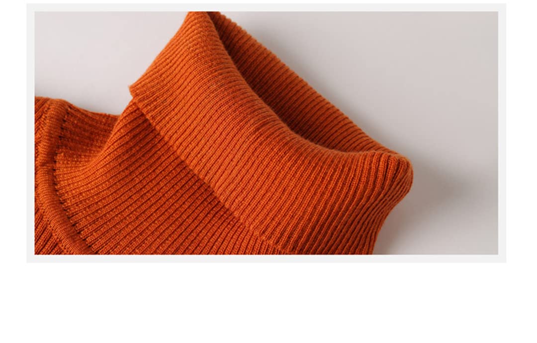 Automne et hiver Basiques Modèles Pull à col roulé Femmes Bas Slim Tops Tricot Pull Doux