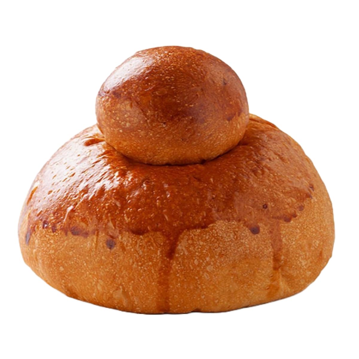 Brioche Siciliana Cu Tuppo, Brioches Artigianali per Granite e Gelati, Prodotti Tipici Siciliani In Capsula Salvafreschezza 10 Pezzi