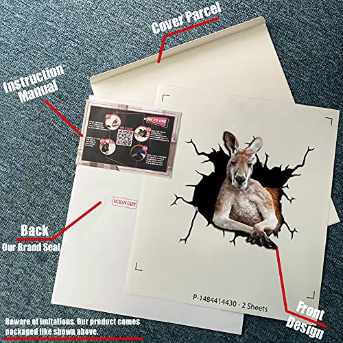 La Mejor review de Kangoroos que puedes comprar esta semana. 11 Imagen adicional