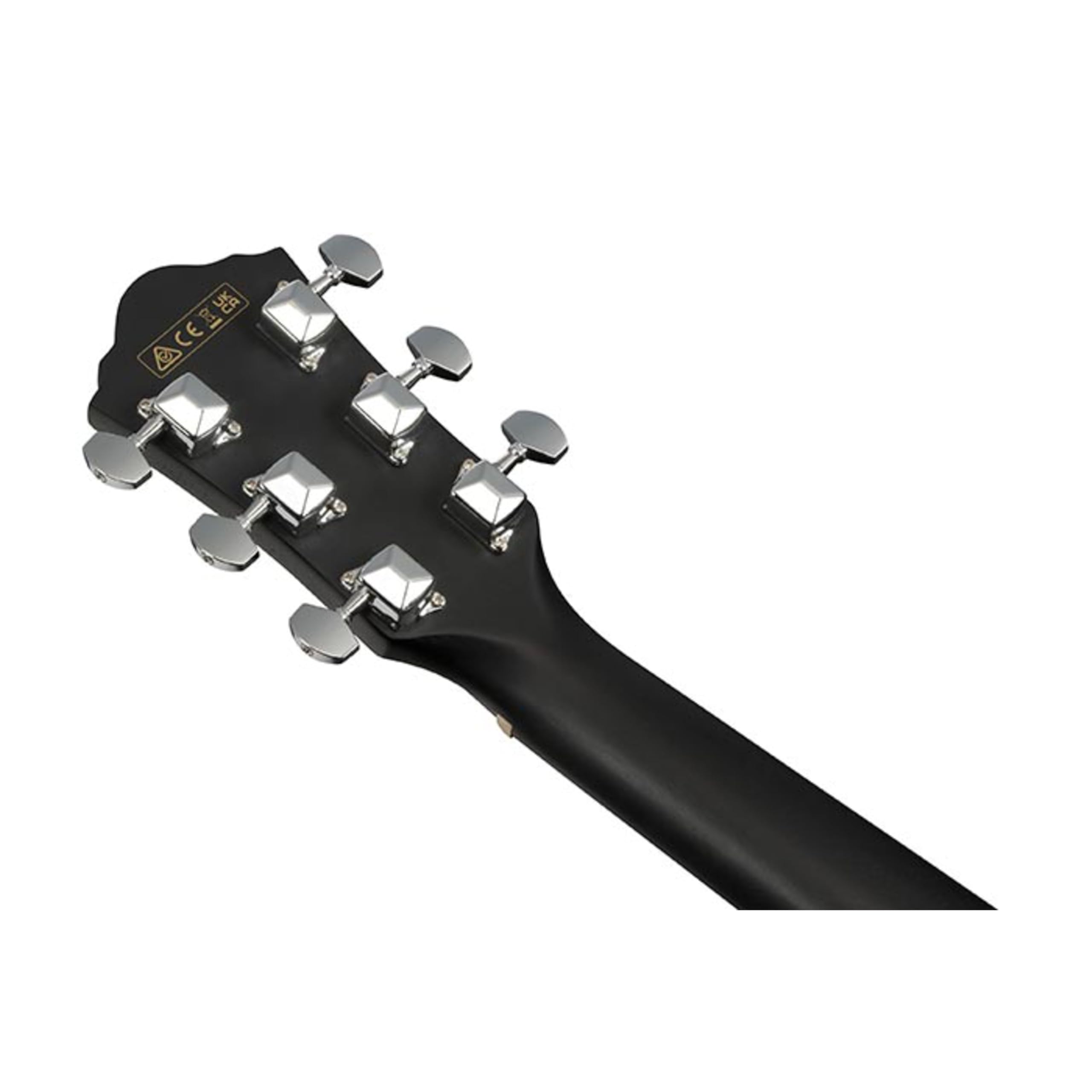 Ibanez Acoustic Guitar / V44CEWK
