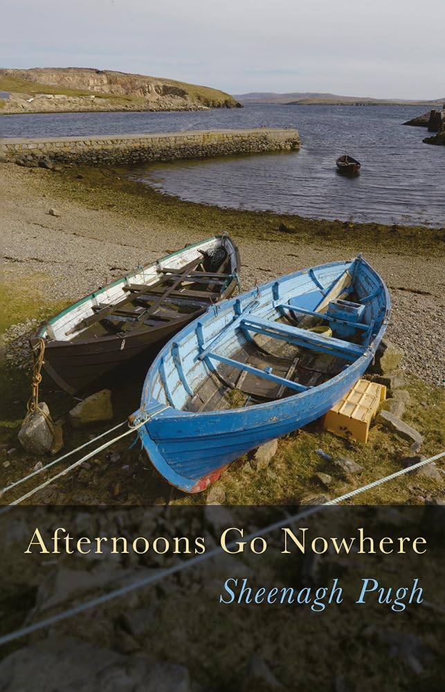 Afternoons Go Nowhere by Sheenagh Pugh (Paperback Book)