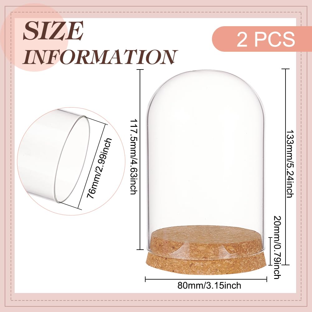 BENECREAT 2 Set Glass Display Dome with Cork Base, 3.14x4.6 inch Tabletop Centerpiece Cloche Bell Jar for Flower Plants, Specimens, Crafts Decorations, Inner Diameter: 76mm