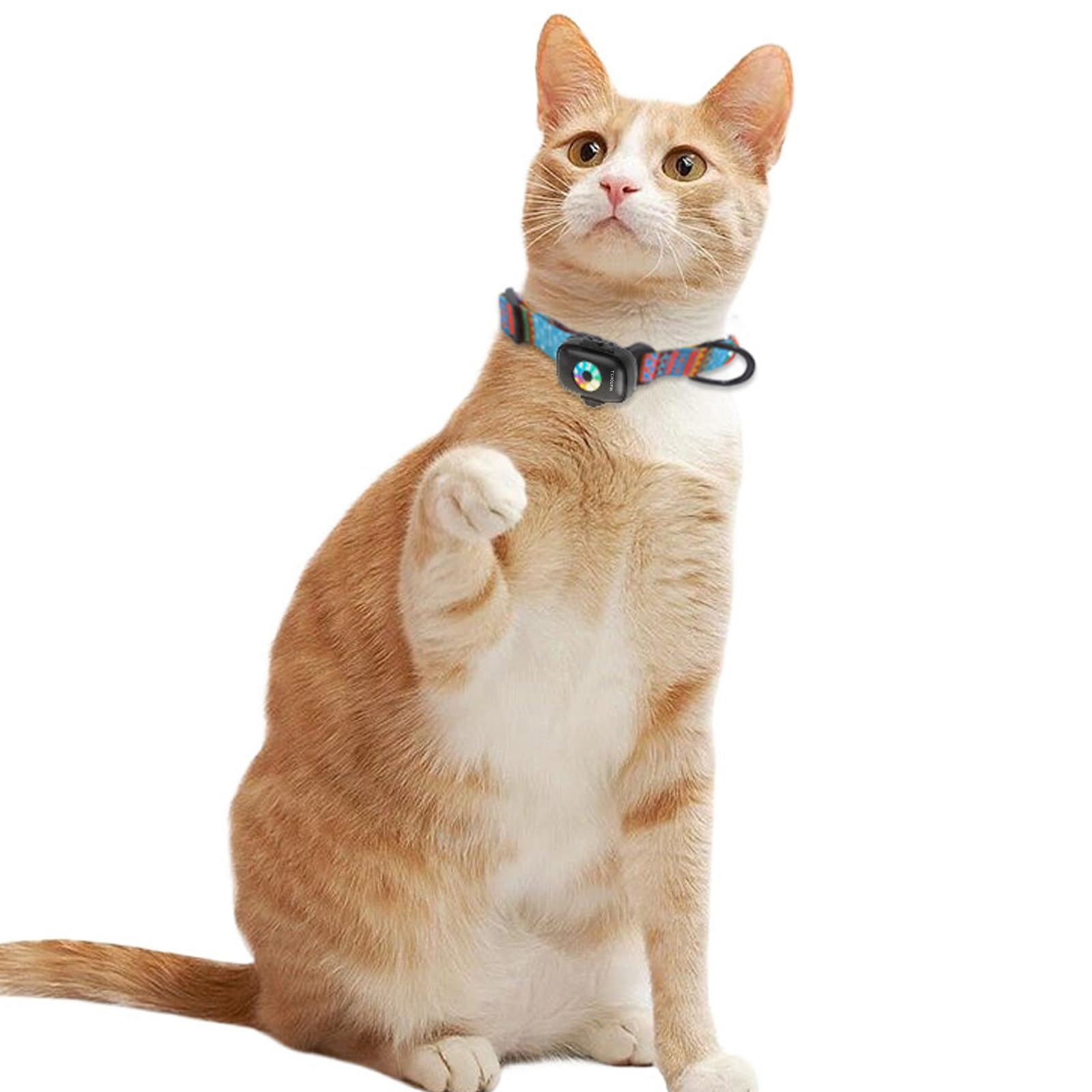 Sangle de Collier GPS 4G lumière LED BDS traqueur de positionnement GPS pour localisateur d'animaux pour Chats et Chiens
