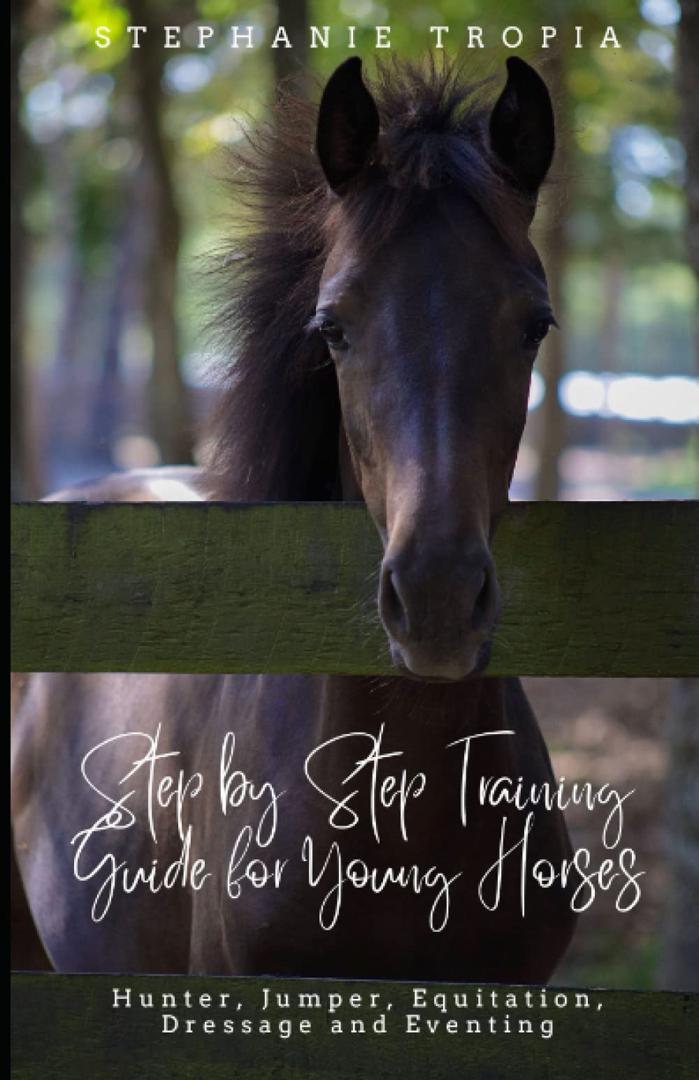 Step by Step Training Guide for Young Horses: Are you planning to educate your young horse proper and correct? Look no further!