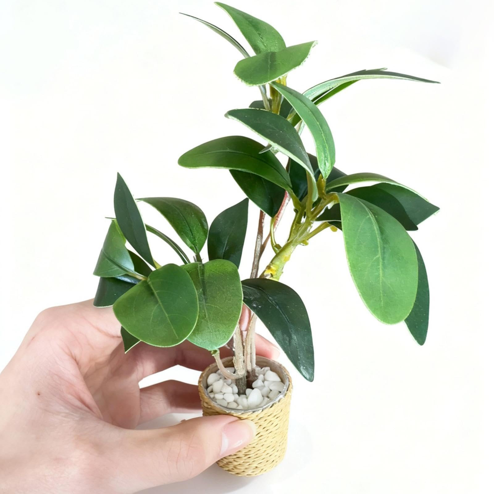 Amazon.co.jp: Ysyqkn 1/6スケール ミニチュアドールハウス植物 ミニ