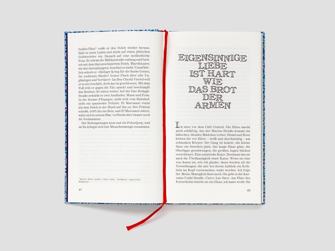 Zeit der Fehler: Autobiographischer Roman (Die Andere Bibliothek, Band 465)