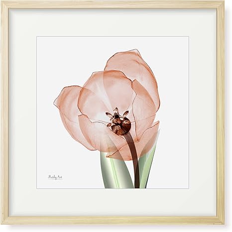 Amazon Co Jp 絵画 赤いチューリップ インテリア 絵 花 アートパネル 額入り 縦32cm X 横32cm ホーム キッチン