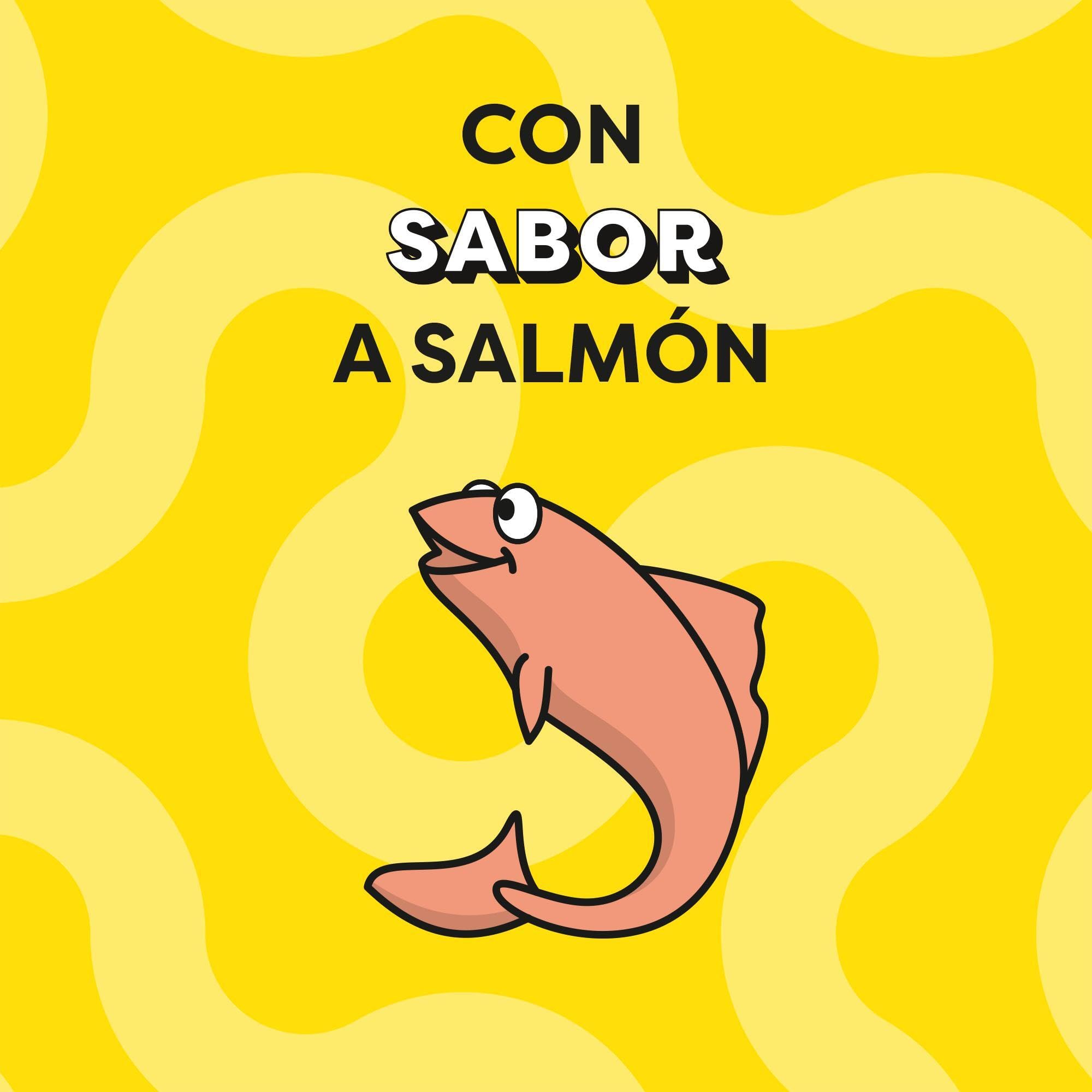 Mars Catisfactions Premios para Gatos, Sabor Salmón (Pack de 6 x 60g)