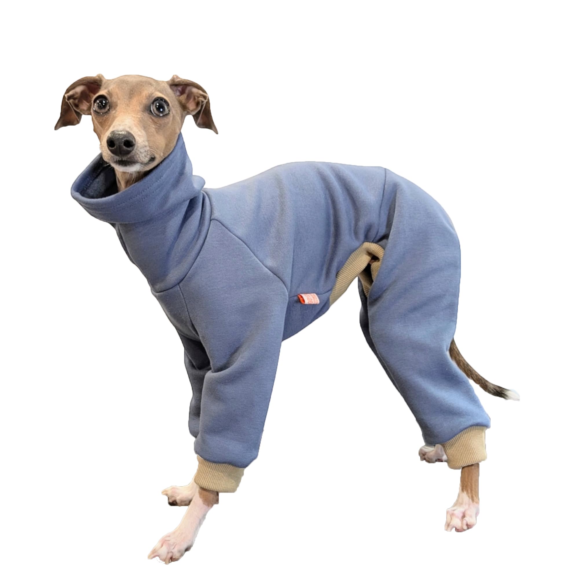 D Doggy Star Italian Greyhound Clothes Strechy Fleeced Lining Simple Onesie Whippet for Dog Coat (3XL,Simple Blue)