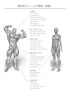 山本義徳監修 トレーニングDVD 5点セット 新品未使用品 VALX トレーニングチューブ 筋トレ チューブ 【山本義徳監修