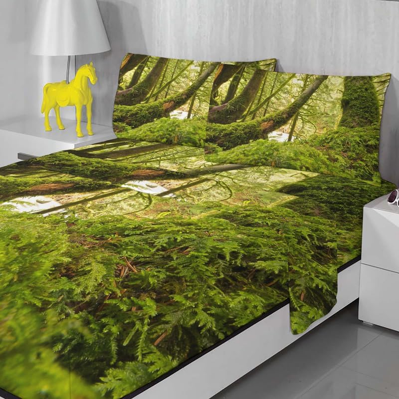 Jungle Sheets - Juego de sábanas tamaño California King, sábanas y fundas de almohada de selva tropical, lujosa 100% microfibra, estampado de alto