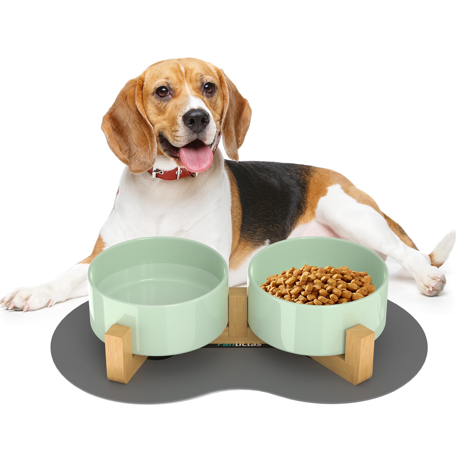 Ciotole Rialzate Per Cani In Ceramica Con Supporto Metallo - Set Doppio Per Cibo E Acqua - Foto 8