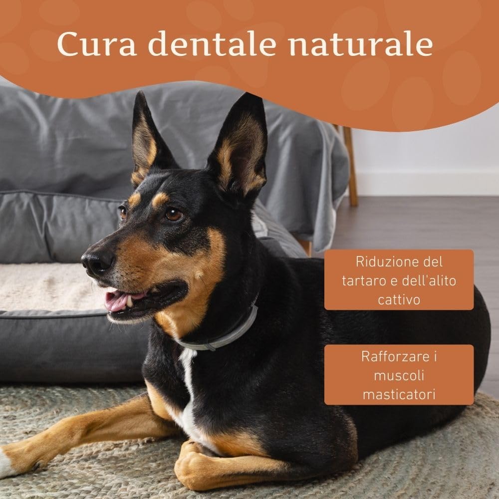 Wildfang® Snack per Cani in Formaggio Duro L (113 g) per Cani 25–45 kg – Bastoncino da Masticare per Cani, Himalayan Durezza tipo Yak, Masticativi Naturali per Cani stile Churpi, Confezione da 3