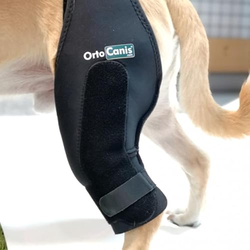 Miniatura 9 de Ortocanis Rodillera para perro para pierna trasera desgarrada, rotura de ligamento y luxación de rótula, rodillera para perro Acl - Soportes para