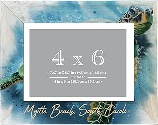 R and R Imports Myrtle Beach South Carolina Souvenir Wooden Photo Frame Turtle Design Matted to 4 x 6