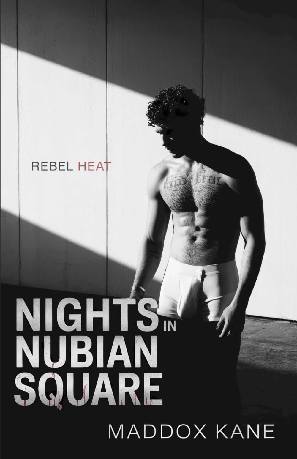 Nights in Nubian Square: A Dax McCall Gay Murder Mystery (Rebel Heat)