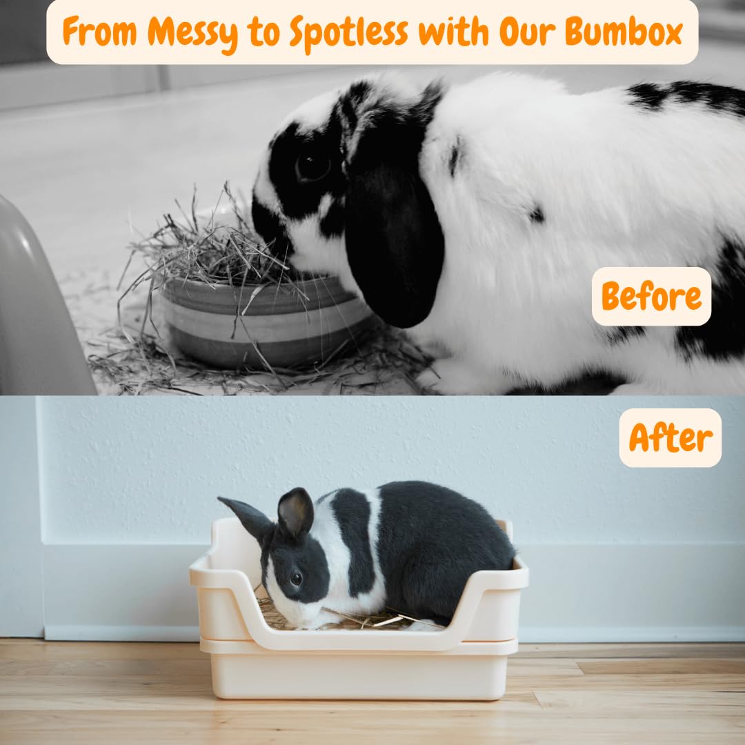 HoppScotch.bun Bumbox duża kuweta dla królika z plastikową siatką i tacą na wywrotkę, bezpieczna dla stóp królika, artykuły dla zwierząt domowych, akcesoria do klatki dla królika, do treningu