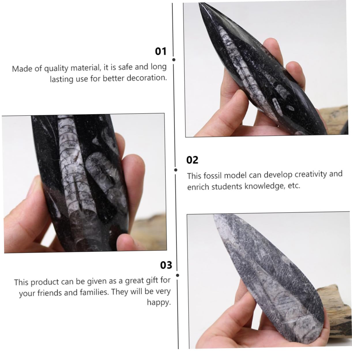 SOIMISS Specimen Fossile Orthoceras Naturale Grande per Paleontologia Didattica Decorazione Casa e Collezione Fossili Materiale Scientifico Autentico per Studenti e Appassionati
