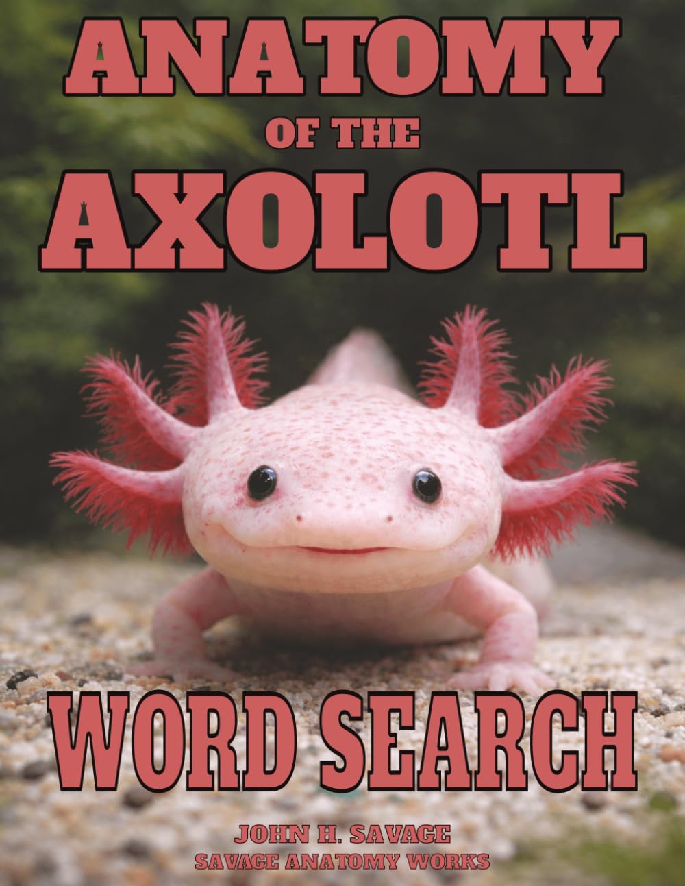 ANATOMY OF THE AXOLOTL WORD SEARCH: PAEDOMORPHIC SALAMANDER FORM FUNCTION AND PHYSIOLOGY (Savage Anatomy)