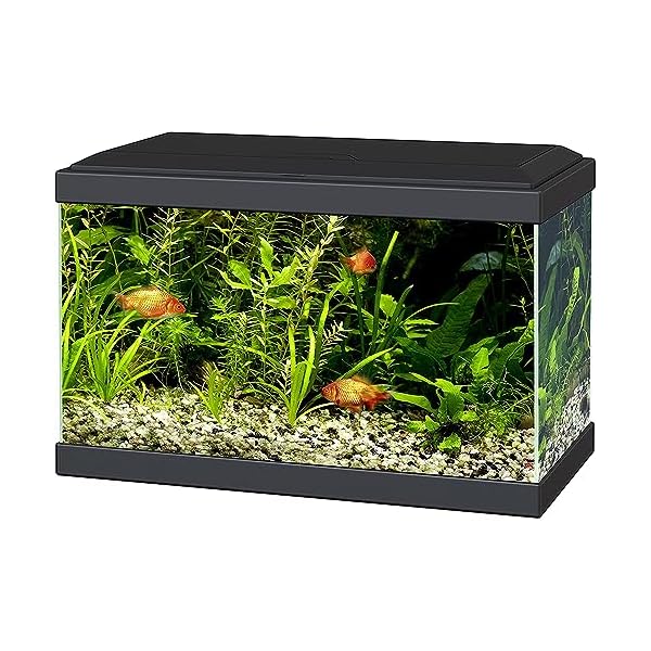 Ciano Aqua 20 Aquarium with LED Lights & Filter BLACK