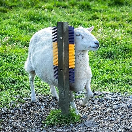 Muursticker Boerderijdieren Kinderkamer v.a. 19,95 Voor hele Set