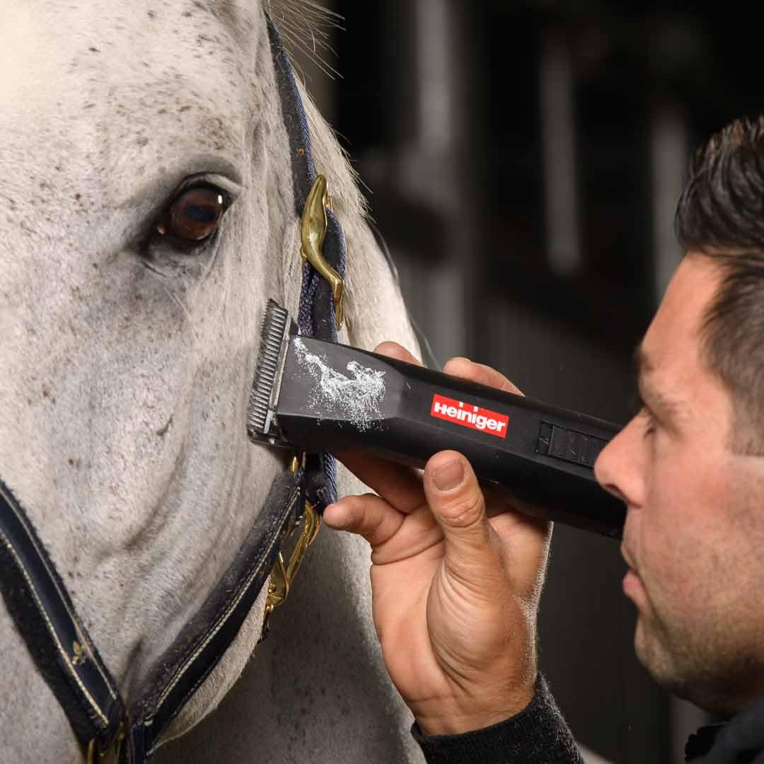 Heiniger Pferdeschermaschine Saphir Horse Scherkopf #10WF - 2 Akkus