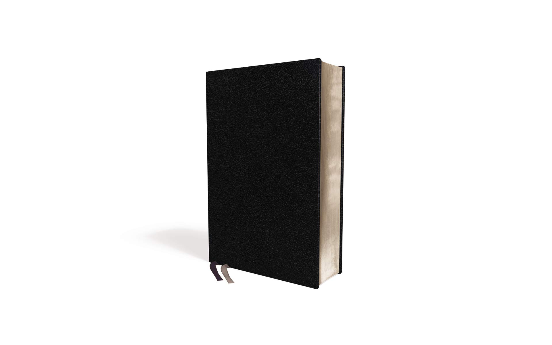 NVI Biblia De Estudio Teologia Biblica: Nueva Version International, Negro, Piel Reciclada: Sigue el plan redentor de Dios como se desenlaza en las Escrituras