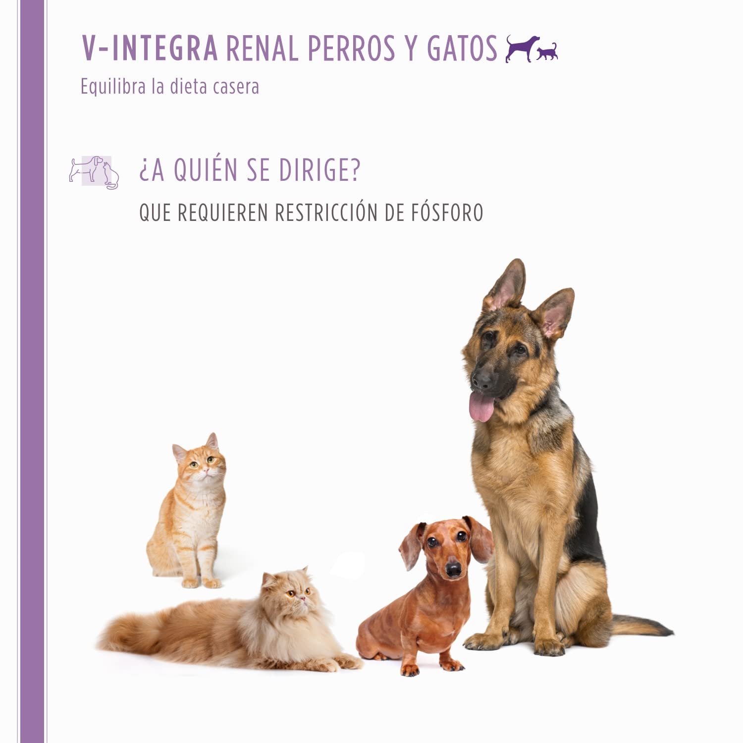 V INTEGRA Renal 200g, Suplemento de Vitaminas y Minerales para Equilibrar Dieta Casera de Perros y Gatos Que Requieren Restricción de Fósforo, Vitaminas para Perros y Gatos Made in Ita