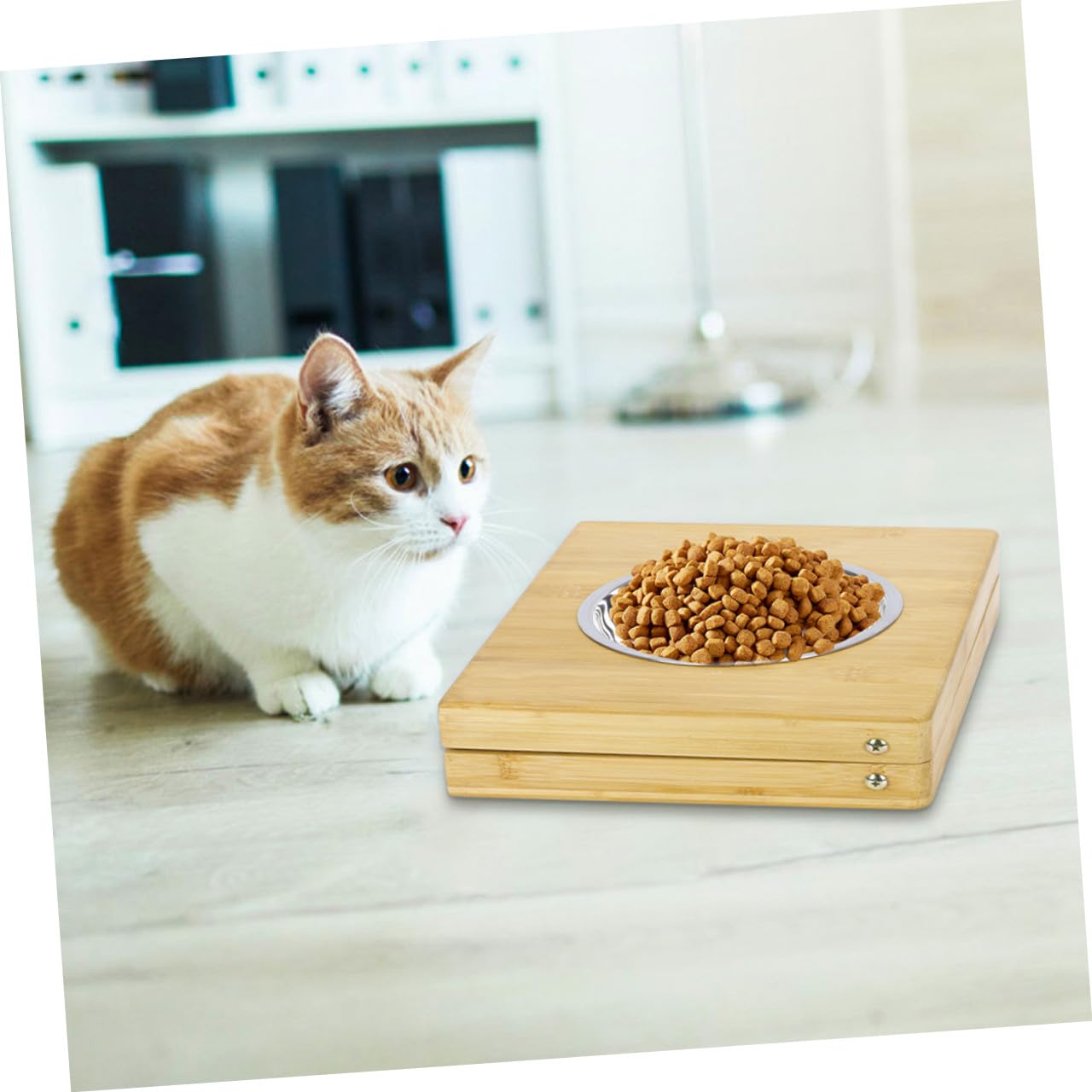 ibasenice Mangeoire pour Animaux Pliable Acier Inoxydable Support pour Deux Gamelles pour Chiens Et Chats Gamelle pour Nourriture Et Eau