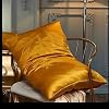 HBJWOV Silk Fabric Pillow with Detachable Soft and Breathable