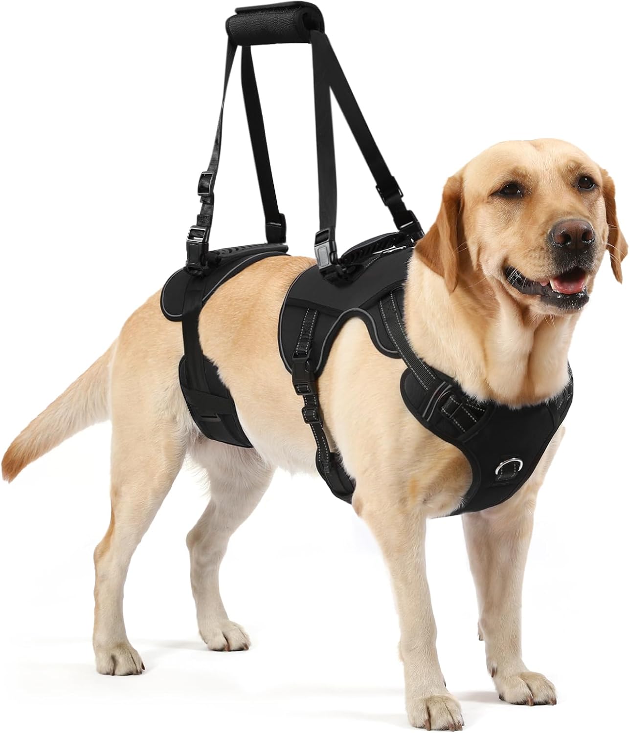 NOYAL Dog Lift Harness for Senior & Injured Pets – Full-Body Support Sling with Breathable Mesh, Front/Rear Leg Assist for Arthritis, Hip Dysplasia & Post-Surgery Recovery (Medium-Large Breeds) Large-X-Large Black-1