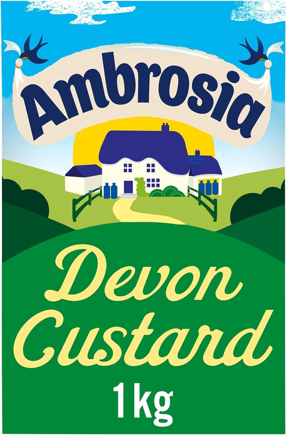 Ambrosia Devon Custard, Traditional Recipe, Creamy Ready-to-Eat Dessert, 1 kg Family Size Carton (Pack of 1)