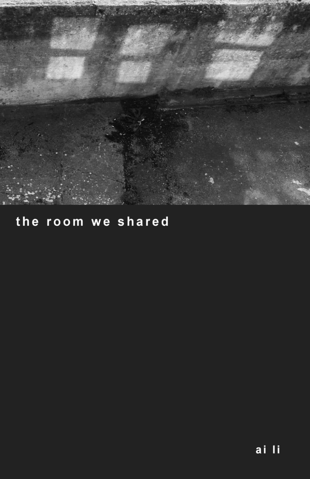 the room we shared (writing in one breath)