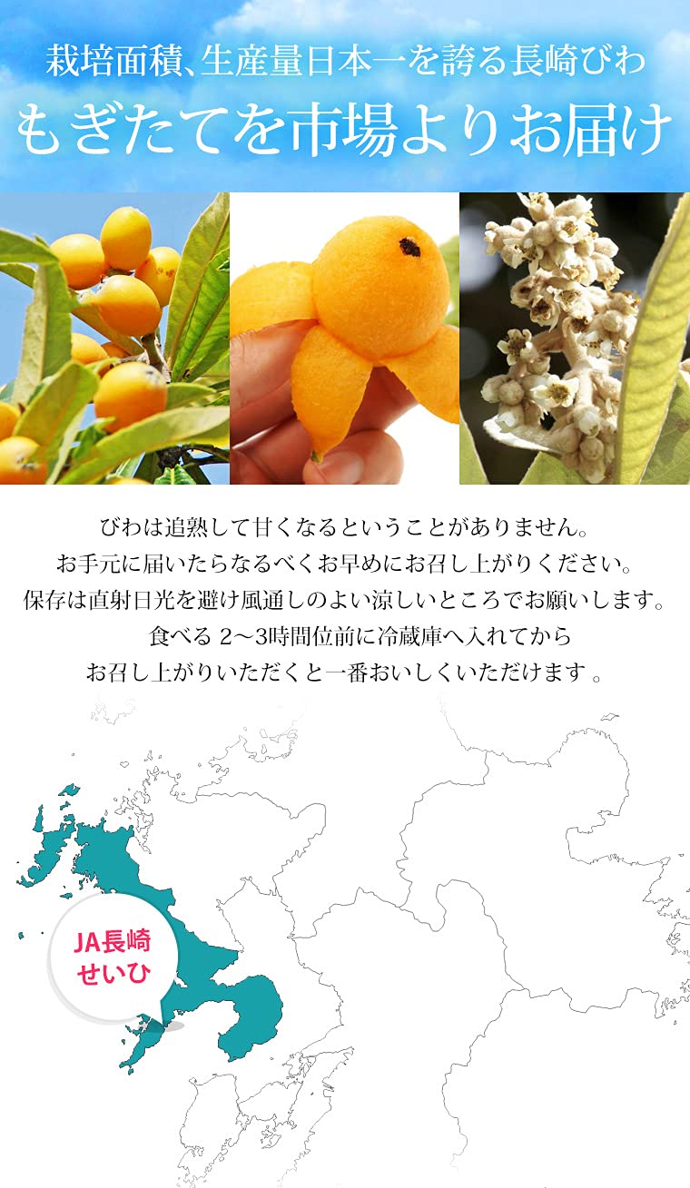 【訳あり約4kg】長崎県産露地びわ 『なつたより』5/28発送予定 Amazon.co.jp: びわ なつたより 長崎びわ 4パック 12～16粒 露地栽培