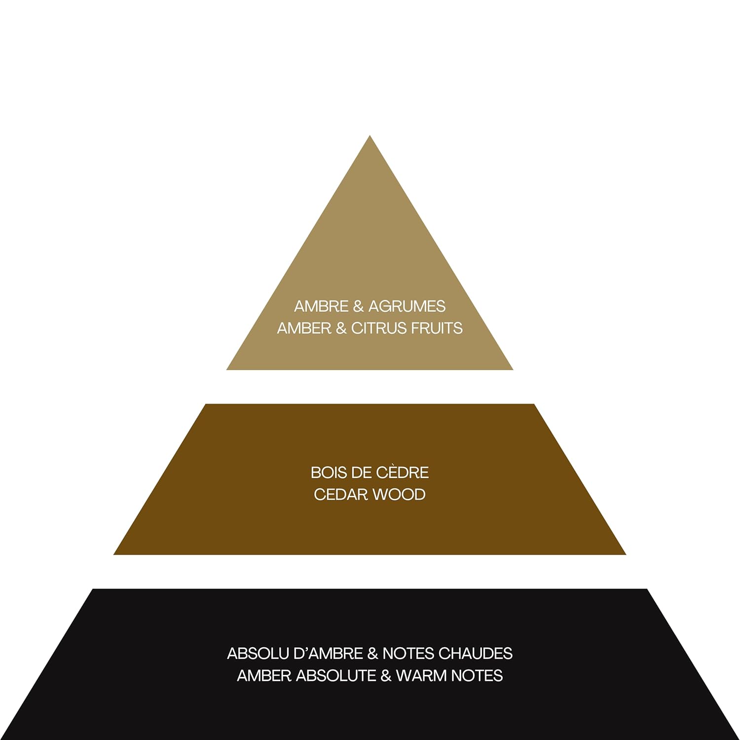 Black Amber Intense - Cologne for Men with Sun-Drenched Citrus, Cedar, and Amber Notes - Long Lasting Warm, Woody Scent - 3.3 oz - Image 3