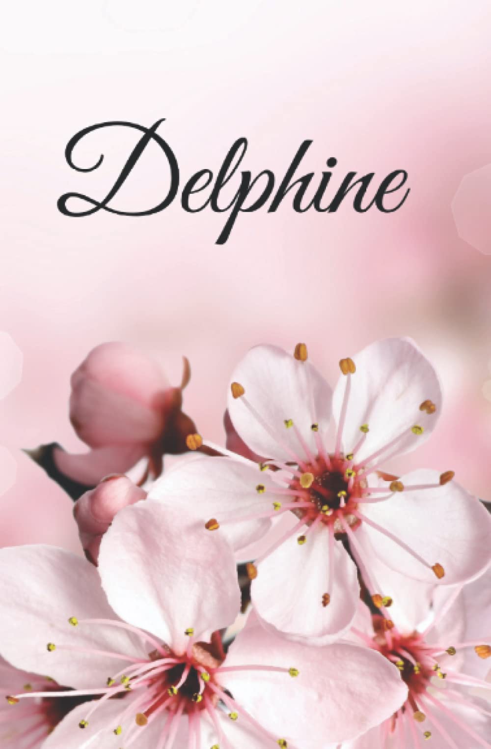 Delphine: Carnet de notes - 100 pages - encadré ligné - personnalisé avec le prénom - format 13cm X 20cm - fleur rose