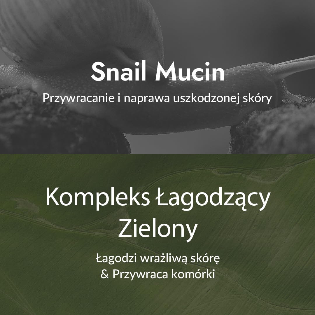 [Mizon] Krem naprawczy do ślimaków, nawilżacz do twarzy z ekstraktem ze śluzu ślimaka, krem naprawczy do ślimaków All in One, koreańska pielęgnacja skóry, pielęgnacja zmarszczek