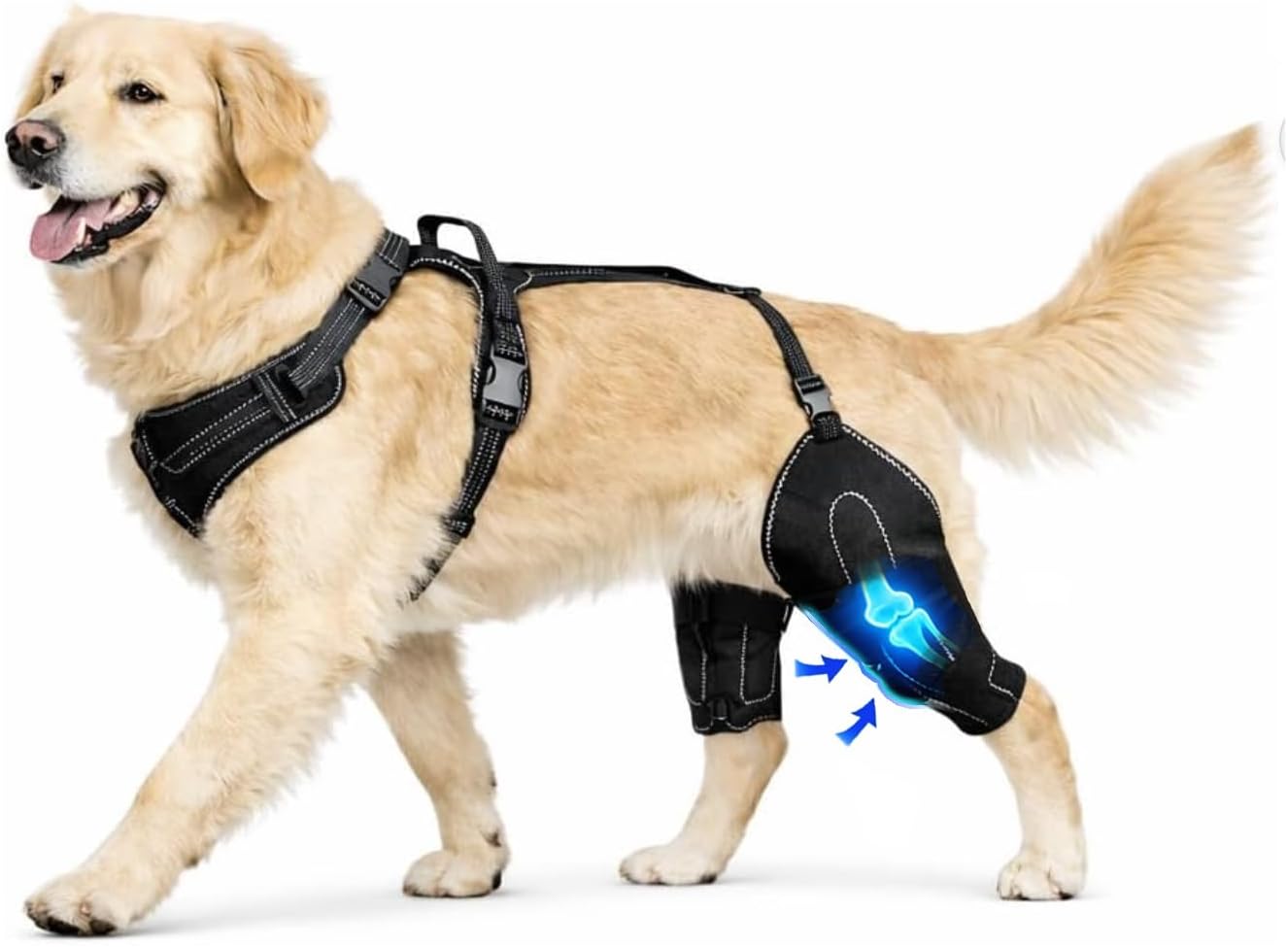 Dog Knee Brace for Hind Leg, Adjustable Rear Leg Brace with Secure Chest Harness, Removable Rotating Metal Stays, Breathable Non-Slip Support for ACL/CCL, Multi-Size