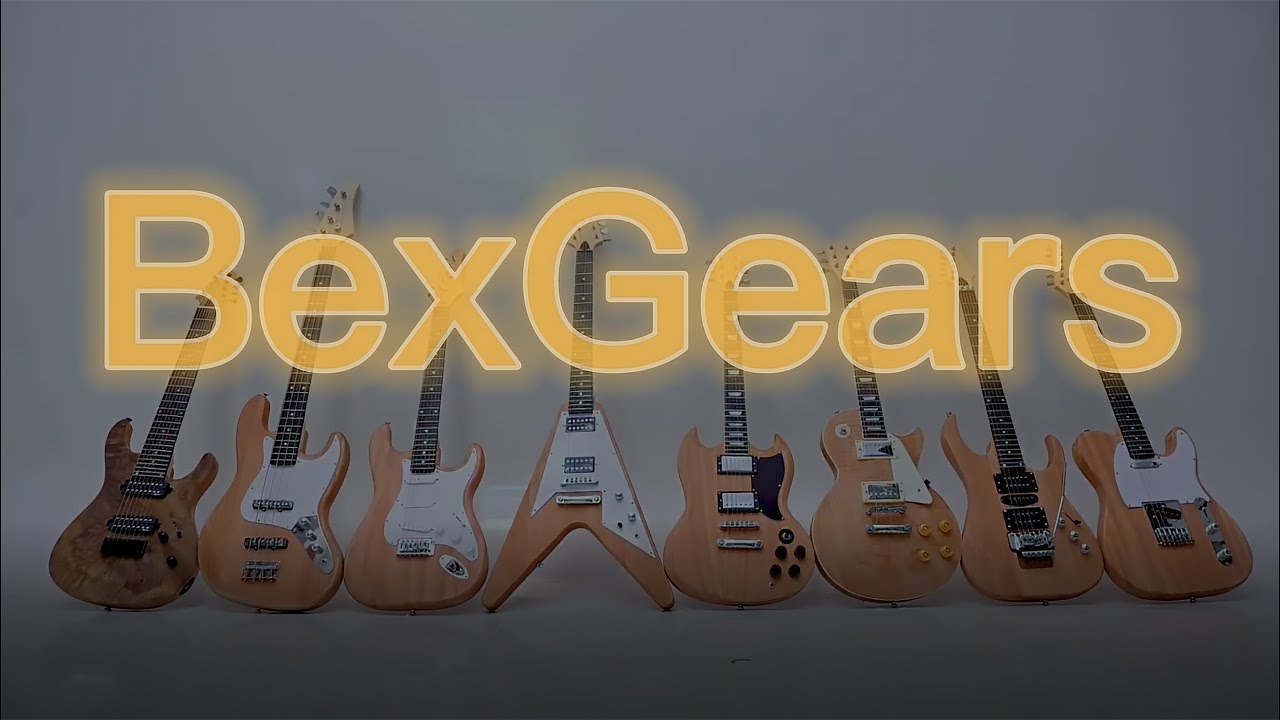 Amazon.com: BexGears DIY 12 String ST Style Electric Guitar