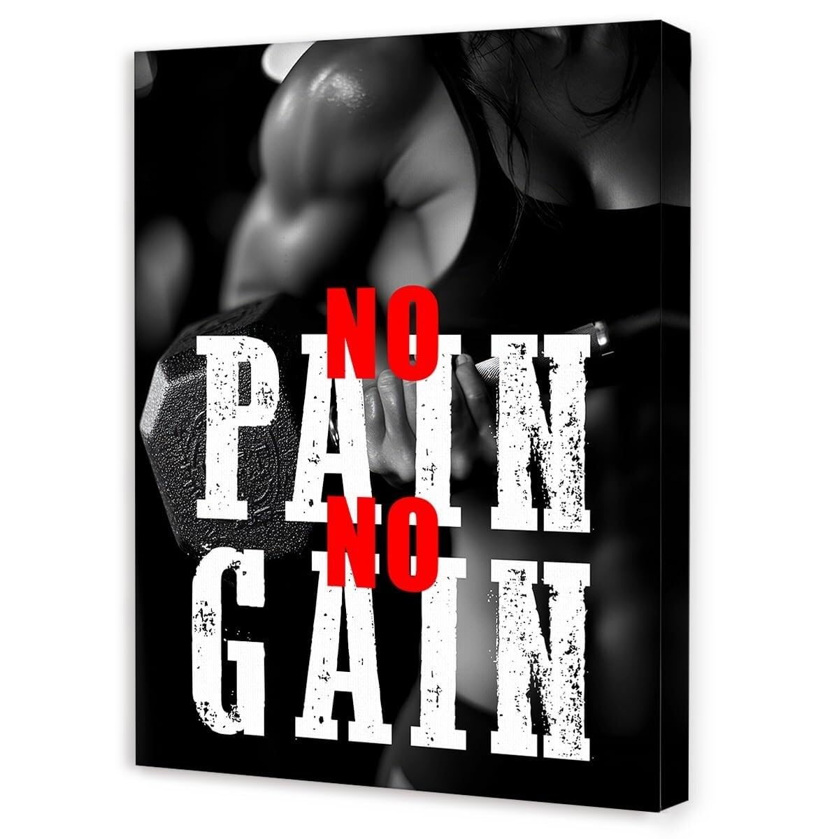 SSOPTMCB No Pain No Gain Gym Wall-Art - Motivational Workout Poster, Inspirational Fitness Quotes for Home Gym, Bodybuilding & Weight Room Decor(Framed,08x12inch(20x30cm))