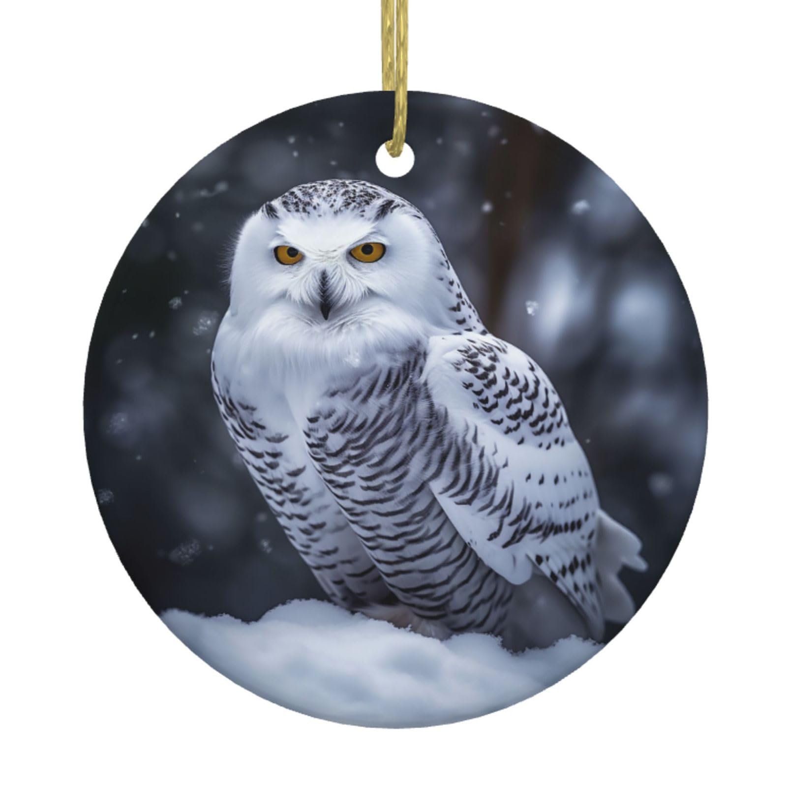 Fodpand Women's White Arctic Owl Christmas Ornaments 2025, Gift Exchange For Men, Collectible Ceramic Ornament Round Hanging Ornaments For Christmas Tree Decoration