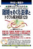 図解とＱ＆Ａでわかる　離婚をめぐる法律とトラブル解決相談129 すぐに役立つ