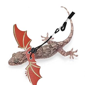 Adjustable Bearded Dragon Leash And Harness Set, Leopard Gecko Leash, Wings